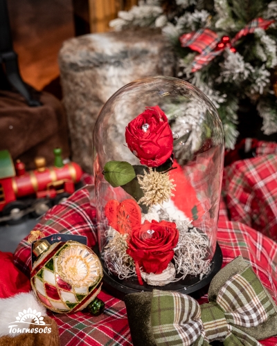 Roses rouges éternelles sous cloche avec décorations de Noël.